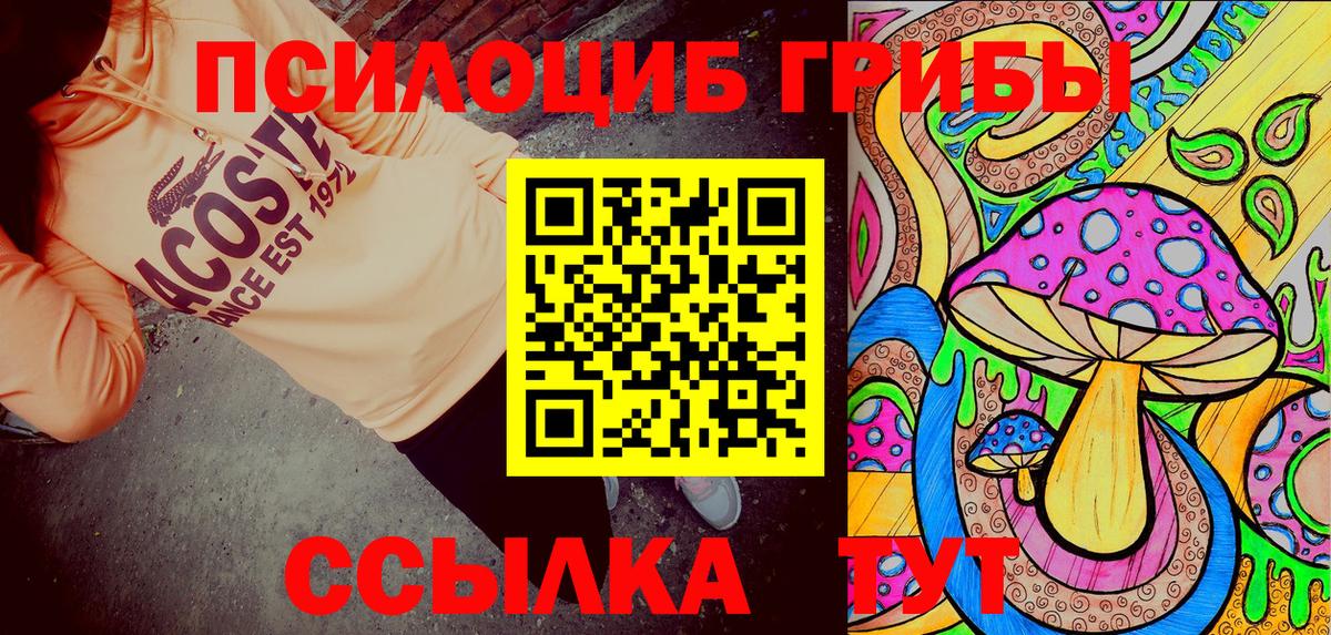 Галлюциногенные грибы Psilocybine cubensis  Вход с VPN  Томск 