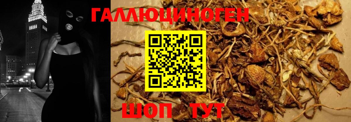 Галлюциногенные грибы GOLDEN TEACHER Томск
